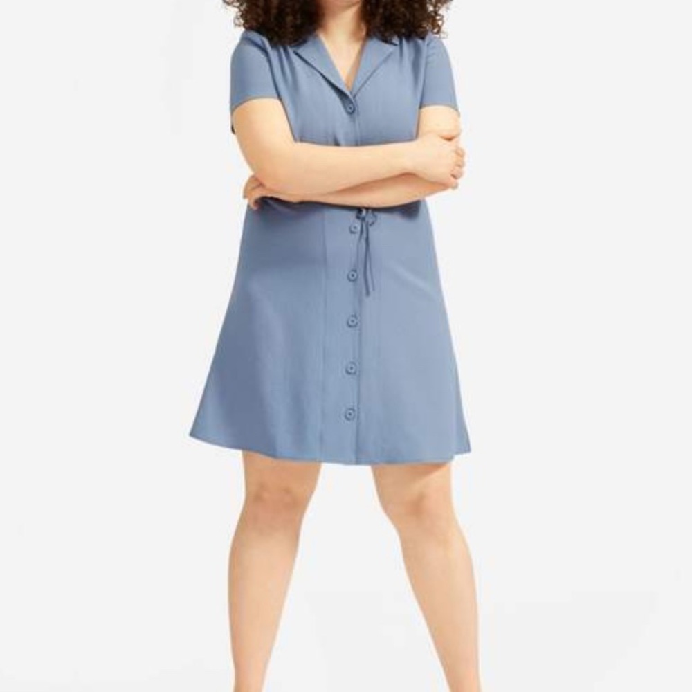 Everlane The Japanese GoWeave Notch Shirt Dress Size 00